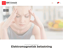 Tablet Screenshot of emf-consult.com